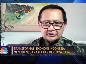 Ekonom: RI Alami Siklus Pertumbuhan Ekonomi Tak Stabil