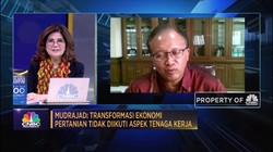 Alasan Pentingnya Roadmap Transformasi Ekonomi Pascapandemi