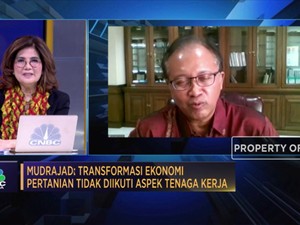Alasan Pentingnya Roadmap Transformasi Ekonomi Pascapandemi