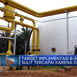 Target Implementasi B-30 Sulit Tercapai Akibat Corona