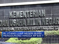 Utang Luar Negeri BUMN Bengkak hingga Rp 835 T
