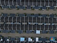 Banyak Sentimen Positif, Sektor Properti Menghijau