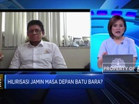 Perhapi Usul Pengaktifan Junior Mining Company di RPP Minerba
