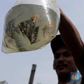Banyak Obat Ikan di E-Commerce Tak Bersertifikat, Begini Respons KKP