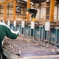 Meroket 200% Lebih, 2 Saham Keluarga Tandiono Disuspensi Lagi