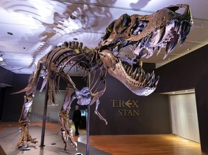 Seperti Apa Bau Napas Dinosaurus T-Rex? Ilmuwan Ungkap Ini!
