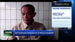 4 Strategi Pemerintah Dorong Pemerataan Cadangan Pangan