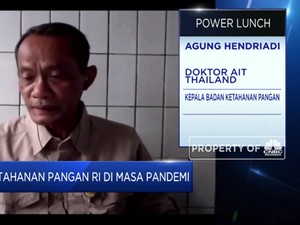 4 Strategi Pemerintah Dorong Pemerataan Cadangan Pangan