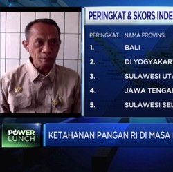 Akhir 2020, Kementan Siap Panan 30 Ribu Ha Sawah Food Estate