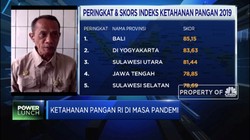 Akhir 2020, Kementan Siap Panan 30 Ribu Ha Sawah Food Estate