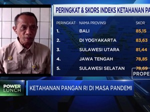 Akhir 2020, Kementan Siap Panan 30 Ribu Ha Sawah Food Estate