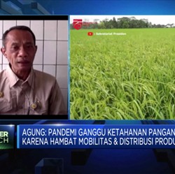 Bantu Petani, Kementan: Ayo Konsumsi Pangan Lokal!