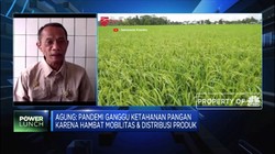 Bantu Petani, Kementan: Ayo Konsumsi Pangan Lokal!