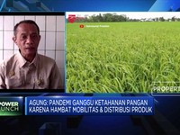 Bantu Petani, Kementan: Ayo Konsumsi Pangan Lokal!