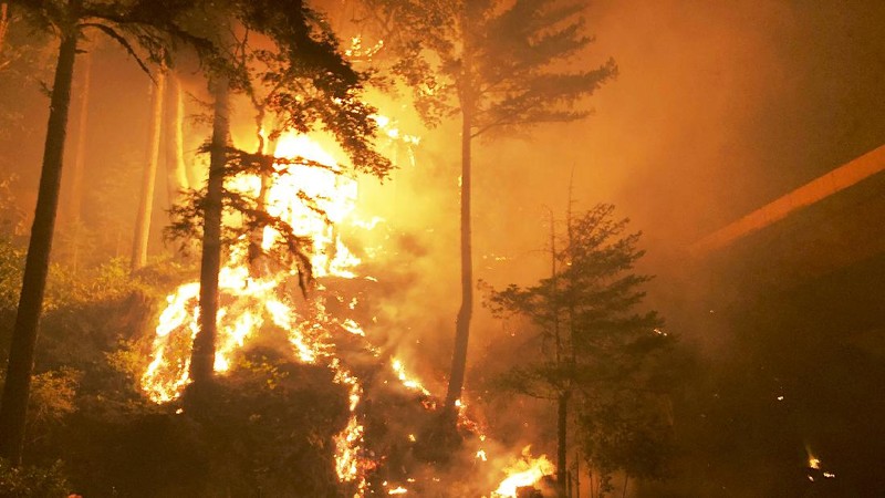 Marcus Kauffman with the Oregon Department of Forestry, walks through a burned out area of the Holiday Farm Fire along the southwest edge of the burn area above Deerhorn, Ore., Thursday, Sept. 17, 2020. (Chris Pietsch/The Register-Guard via AP)