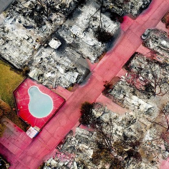 Potret Malapetaka di Hutan Oregon AS