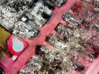 Potret Malapetaka di Hutan Oregon AS