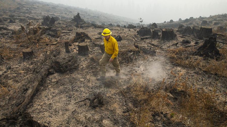 Marcus Kauffman with the Oregon Department of Forestry, walks through a burned out area of the Holiday Farm Fire along the southwest edge of the burn area above Deerhorn, Ore., Thursday, Sept. 17, 2020. (Chris Pietsch/The Register-Guard via AP)