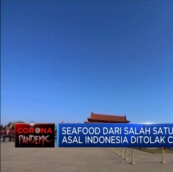 Diduga Tercemar Covid-19, China Tolak Seafood Asal Indonesia