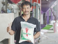 Ini 'Senjata' Kementan yang Bikin Petani Padi Makin Untung