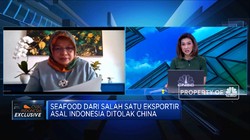 KKP: Akan Ada Sanksi Bagi Penyelundup Benih Lobster
