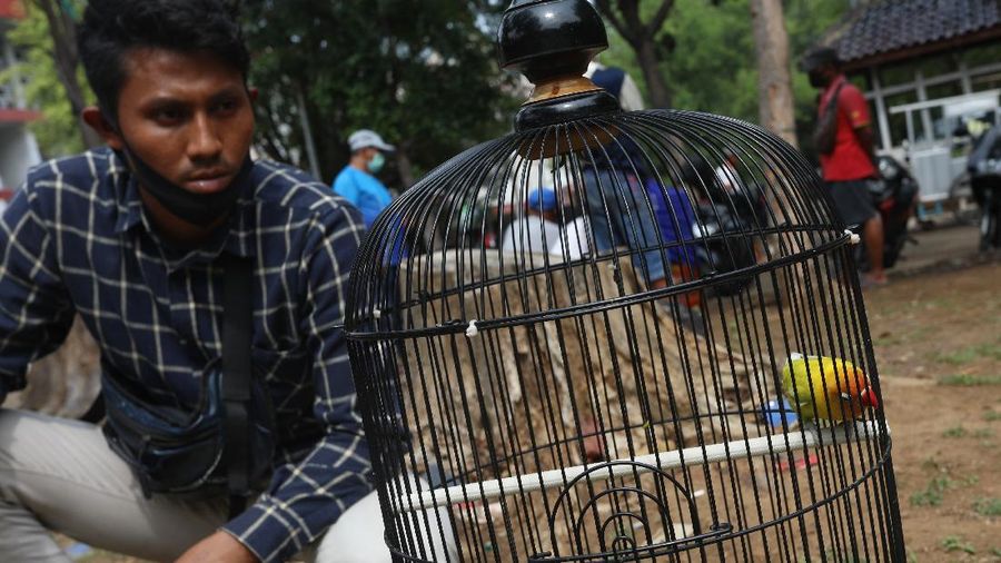 PSBB Ketat Jakarta, Pulihan Warga Asyik Ikuti Latiha Kicau Burung. (CNBC Indonesia/Andrean Kristianto)