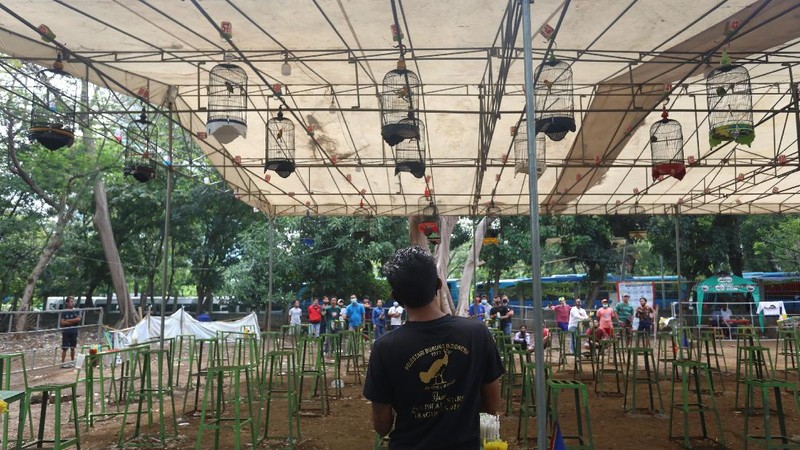 PSBB Ketat Jakarta, Pulihan Warga Asyik Ikuti Latiha Kicau Burung. (CNBC Indonesia/Andrean Kristianto)