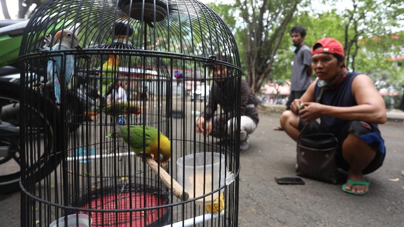 PSBB Ketat Jakarta, Pulihan Warga Asyik Ikuti Latiha Kicau Burung. (CNBC Indonesia/Andrean Kristianto)