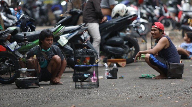 PSBB Ketat Jakarta, Pulihan Warga Asyik Ikuti Latiha Kicau Burung. (CNBC Indonesia/Andrean Kristianto)