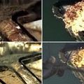 Ups! Video Perang Militer China 'Bajak' Film Transformers?