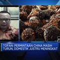 GAPKI: Permintaan Domestik Topang Stabilitas Harga Sawit