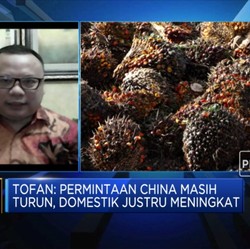 GAPKI: Permintaan Domestik Topang Stabilitas Harga Sawit