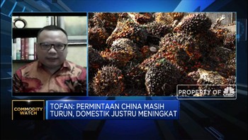 GAPKI: Permintaan Domestik Topang Stabilitas Harga Sawit