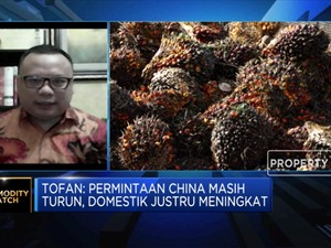 GAPKI: Permintaan Domestik Topang Stabilitas Harga Sawit