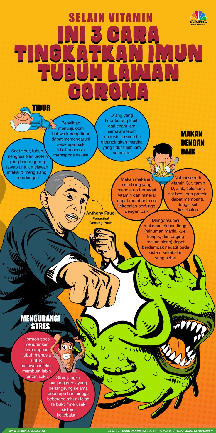 Infografis/Selain vitamin, ini 3 Cara Tingkatkan Imun Tubuh Lawan Corona/Aristya Rahadian Infografis/Selain vitamin, ini 3 Cara Tingkatkan Imun Tubuh Lawan Corona/Aristya Rahadian