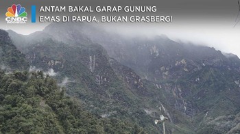 Antam Bakal Garap Gunung Emas di Papua, Bukan Grasberg!