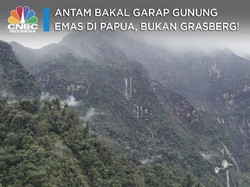 Antam Bakal Garap Gunung Emas di Papua, Bukan Grasberg!