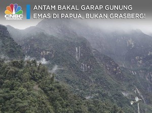 Antam Bakal Garap Gunung Emas di Papua, Bukan Grasberg!