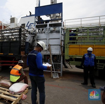 Intip Bongkar Muat Sapi Impor Australia yang Lesu Gegara PSBB
