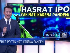 Hasrat IPO Tak Mati Karena Pandemi