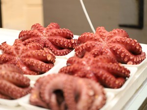 Kuliner Paling Berbahaya Kedua di Dunia Kembali Telan Korban Jiwa