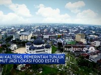 Usai Kalteng, Pemerintah Tunjuk Sumut jadi Lokasi Food Estate