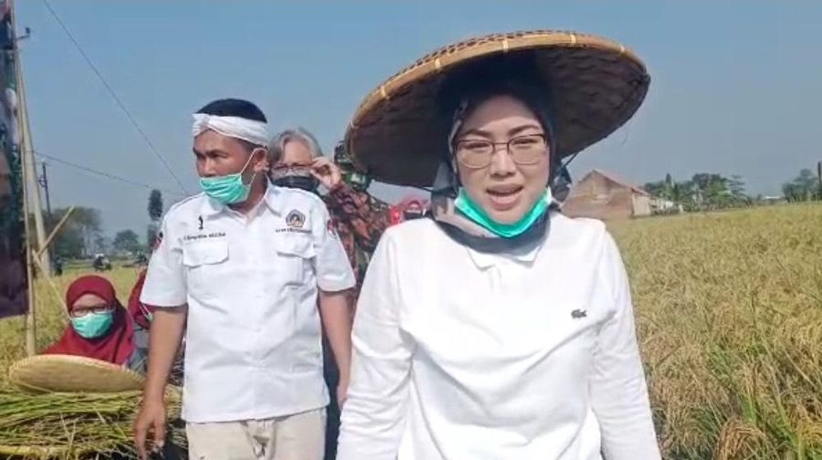 Dok: Kementan