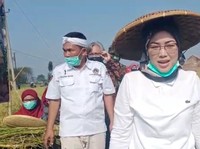 Bupati Purwakarta Apresiasi Program Terobosan Kementan