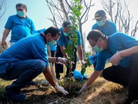 Pelindo 3 & Otoritas Tanjung Perak Hijaukan Pelabuhan
