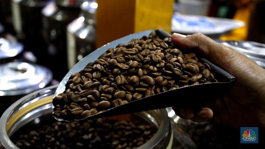 Pengusaha biji kopi (CNBC Indonesia/Tri Susilo)