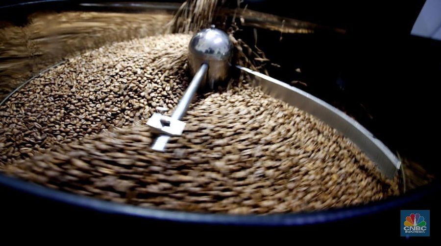 Pengusaha biji kopi (CNBC Indonesia/Tri Susilo)