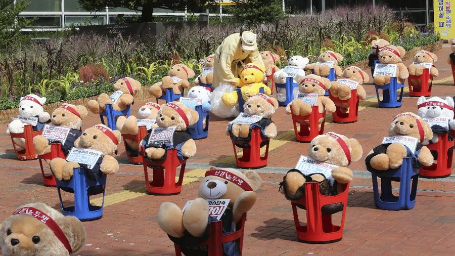 Street vendors sit to protest against a crackdown on illegal street vendors, in front of the Mapo ward office in Seoul, South Korea, Thursday, Sept. 24, 2020. They replaced protestors with teddy bears to avoid the violation of an ongoing ban on rallies with more than 10 people amid the coronavirus pandemic. The signs read: 