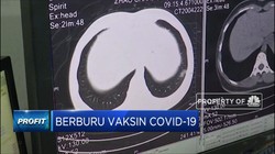WHO: Tidak Semua Orang Akan Punya  Akses Ke Vaksin Covid-19
