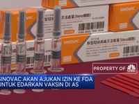 Warga RI Pengguna Vaksin Sinovac, WHO Bawa Pesan Untuk Anda